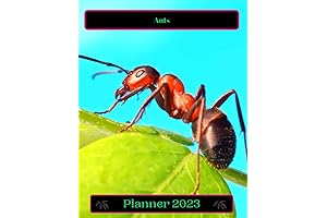 Auntie Acid 2023 Planner Calendar