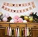 Pink and Gold Baby Shower Decorations for Girl BABY SHOWER IT'S A GIRL Garland Bunting Banner Tissue Paper Pom Poms Flowers Paper Lanterns Paper Honeycomb Balls Tissue Paper Tassel Party Decorations