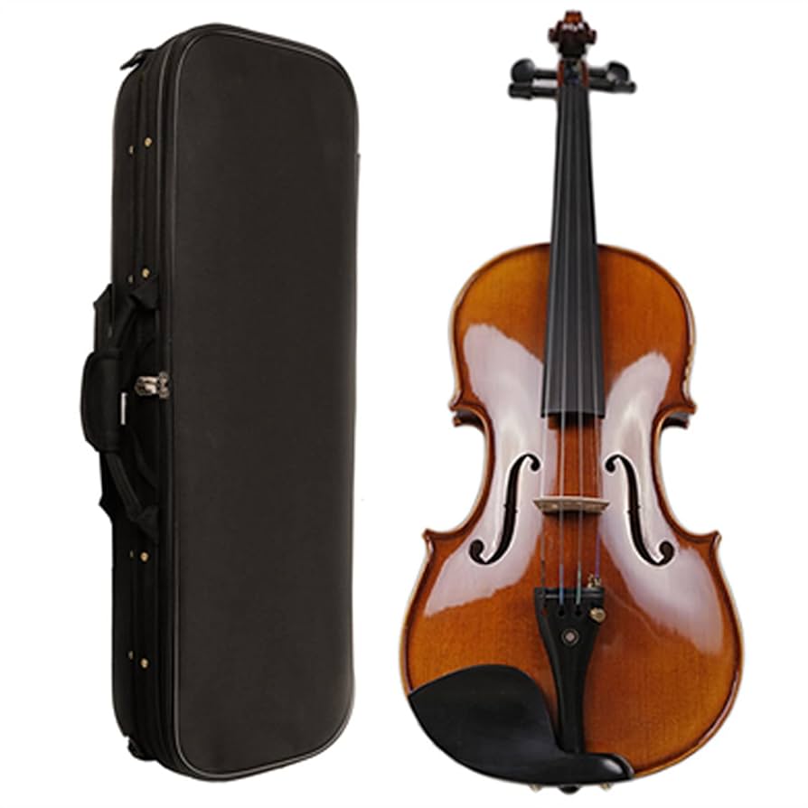 ナチュラルバイオリン ケース付き ナチュラルバイオリン ケース付き