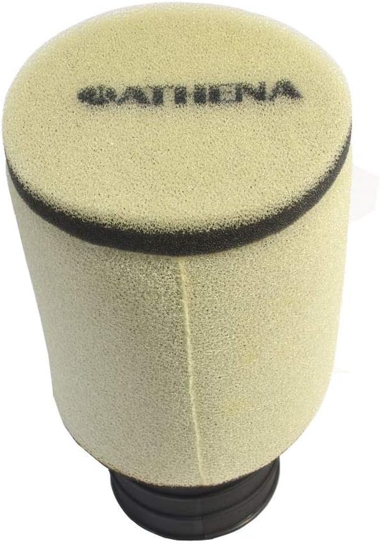 Athena (S410210200030) Air Filter