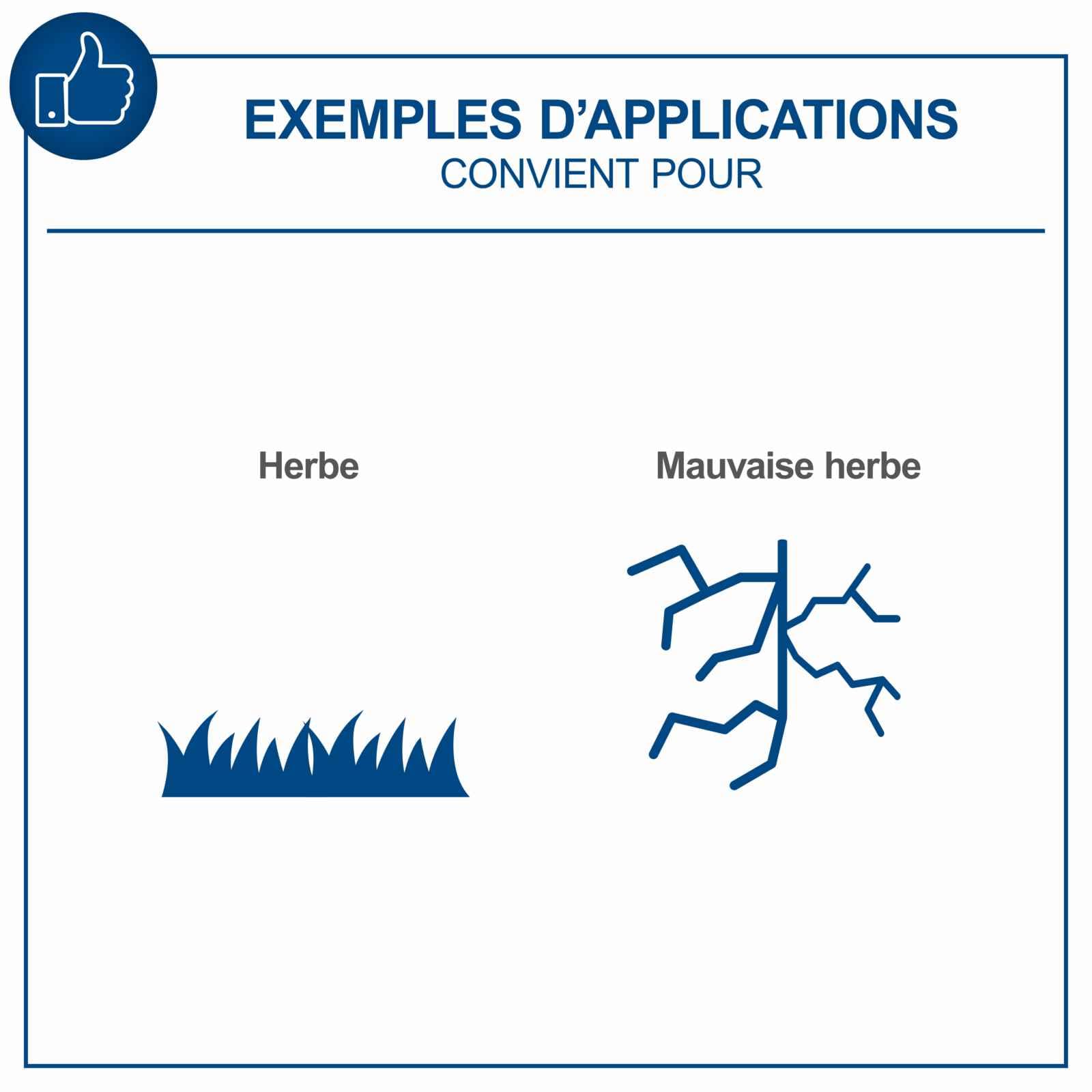 Scheppach Coupe-Bordures sans Fil C-LT300-X 20V | Batterie 2Ah et Chargeur | Largeur de Coupe 300mm | Longueur de Fil 3m | Réglage en Hauteur jusqu'à 270mm | Série 20V-IXES | + 2 bobines de Fil