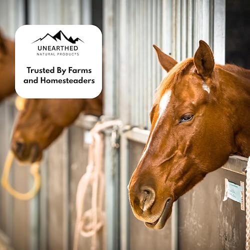 Miniatura 2 de Piedra caliza blanca fina y suave  50 libras  Múltiples usos  Carbonato de calcio (50 libras)