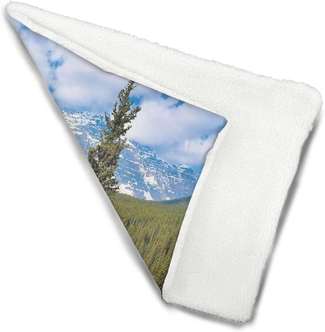 review Aqua Blue Green Thermal Pet Mat Bed Liner Lake Summer Forest Tall Fresh Trees Image Self Warming Crate Pad with Soft Sherpa Top for Dogs, Cats, Pets by Landscape 22