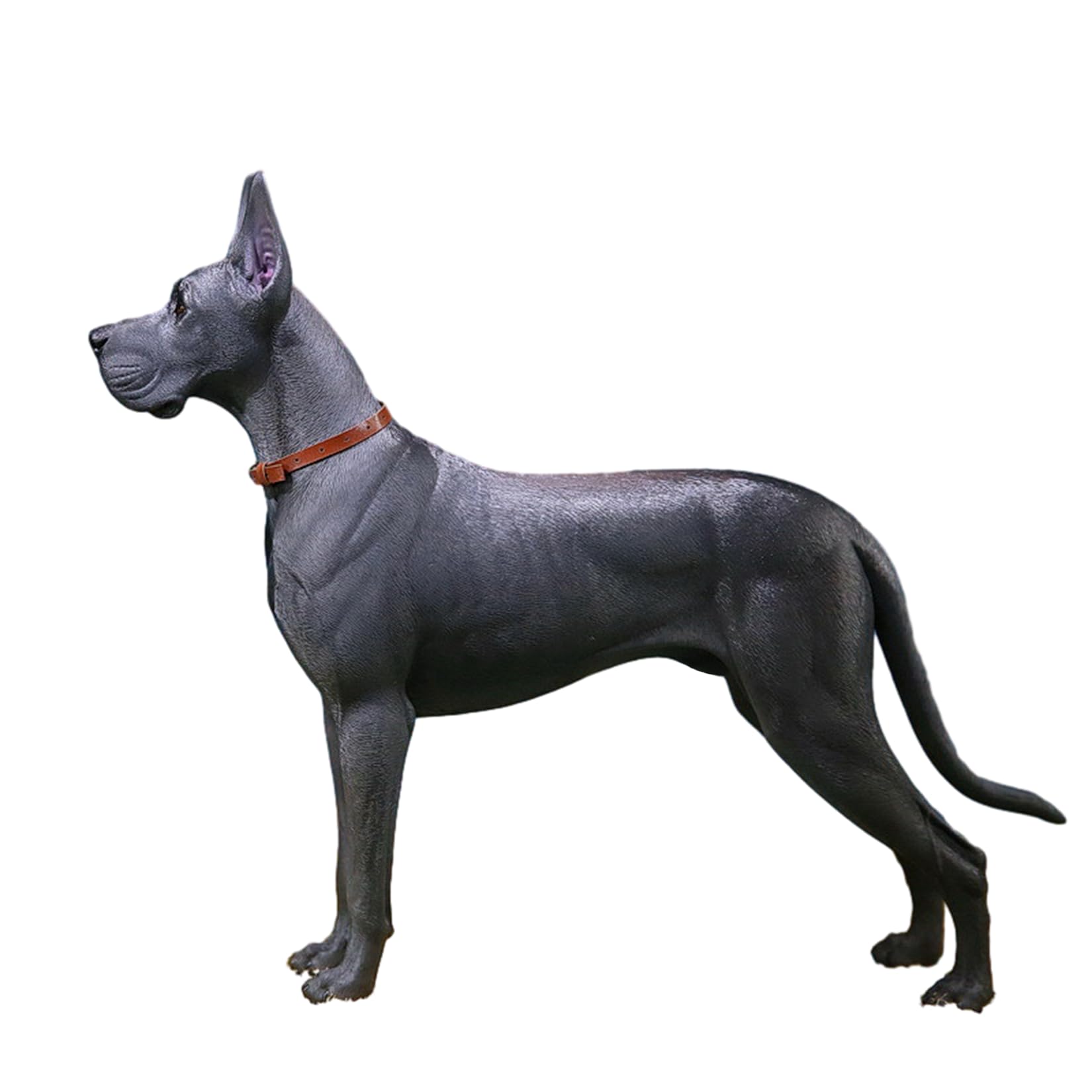 Amazon.co.jp: Mr.Z 1/6 サイズ グレート・デーン 犬 動物 リアル