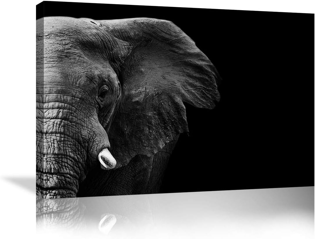 Elephant Wall Art Animal Prints on Canvas Black and White Pictures for Living Room Decor Wall Artwork HD Prints for Home with Framed Stretched Ready to Hang