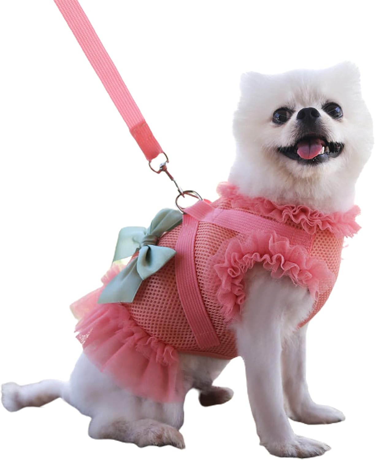decorative dog harness