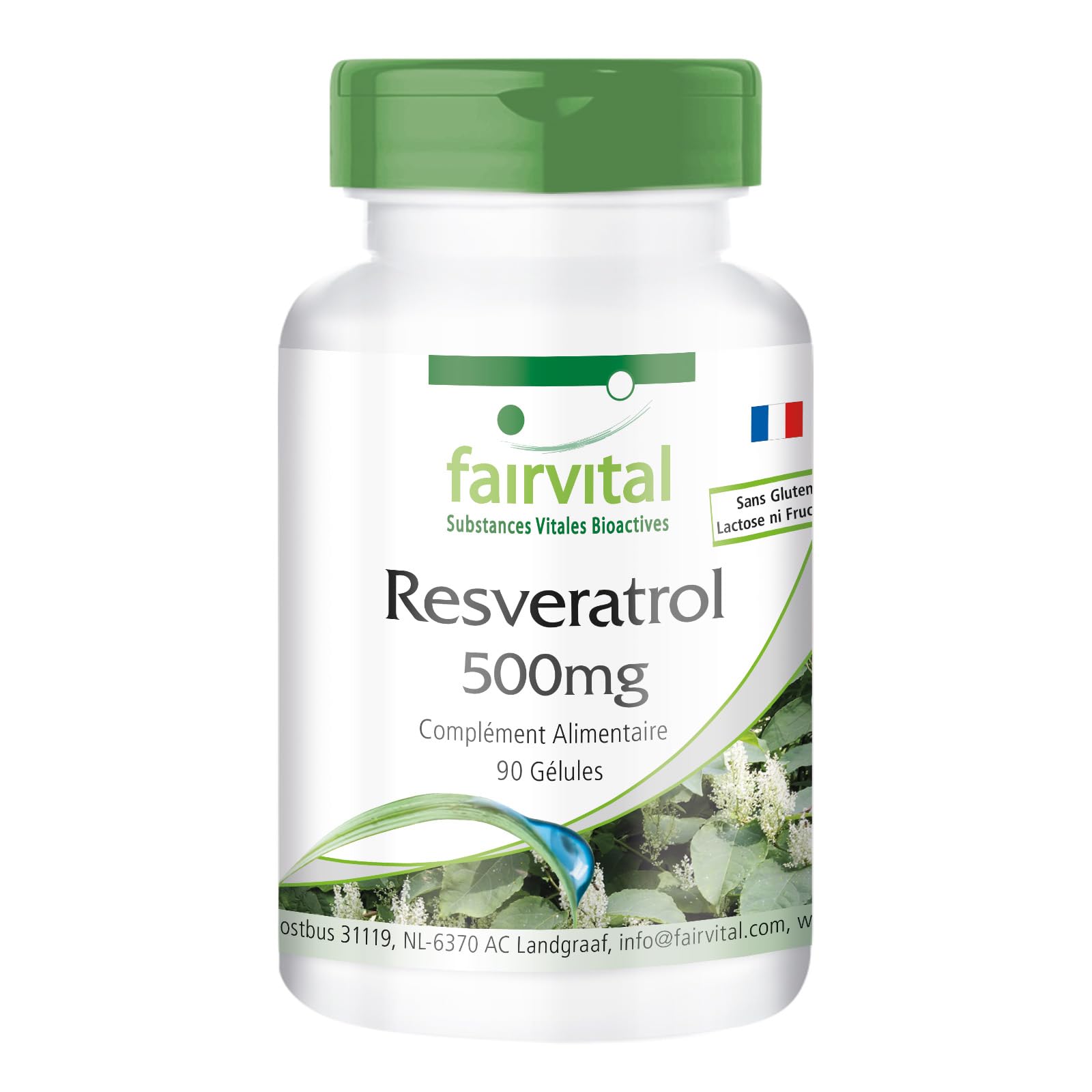 fairvital Resvératrol 500mg, 90 gélules, 500mg de trans-resvératrol par gélule, HAUTEMENT DOSÉ, à base d'extrait de renouée, végétalien