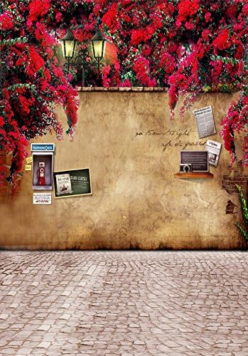 Wanery 8.2x12.3 FT Digital Photography Backdrops Birthday Background Pictorial Cloth Brown Wall Floral Background for Adult, Child, Pet, Product, Studio Photography Pictures