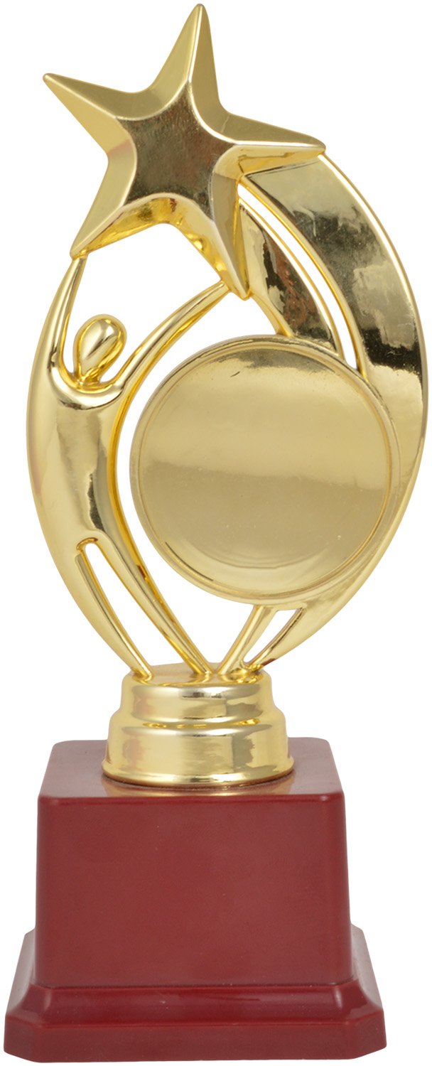 TROPHY JUNCTION Star BOY Trophy L (B01MTWHZQ0) Amazon Price History, Amazon Price Tracker