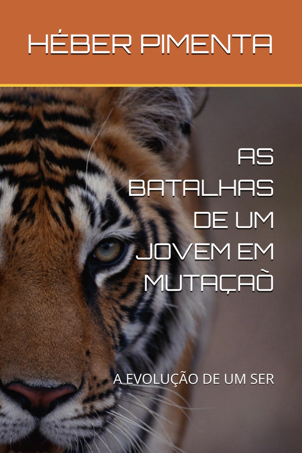 AS BATALHAS DE UM JOVEM EM MUTAÇAÕ: A EVOLUÇÃO DE UM SER