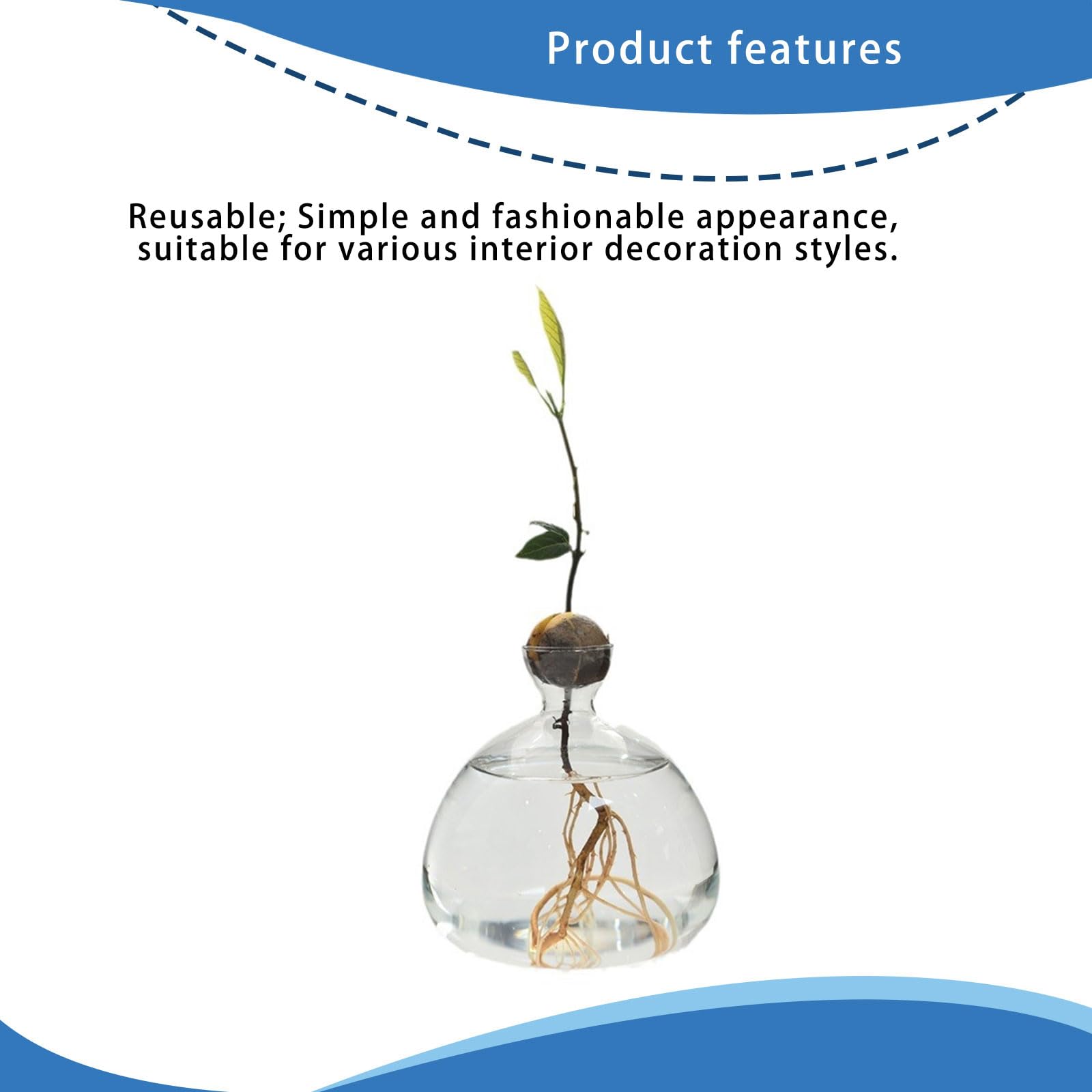 Vase de démarrage pour Avocat en Verre Transparent, récipient de Propagation hydroponique pour Fleurs, Cadeau pour la Maison et Le Bureau, décorations de Bureau