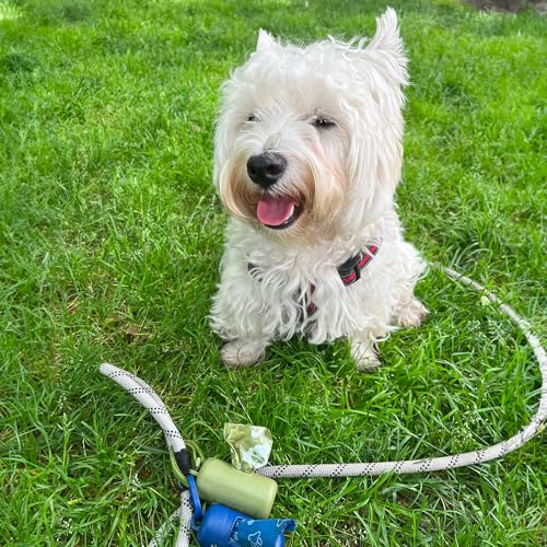 Image of Best Pet Supplies Dog Poop Bags for Waste Refuse Cleanup, Doggy Roll Replacements for Outdoor Puppy Walking and Travel, Leak Proof and Tear Resistant, Thick Plastic - Green with Poop Emoji, 150 Bags