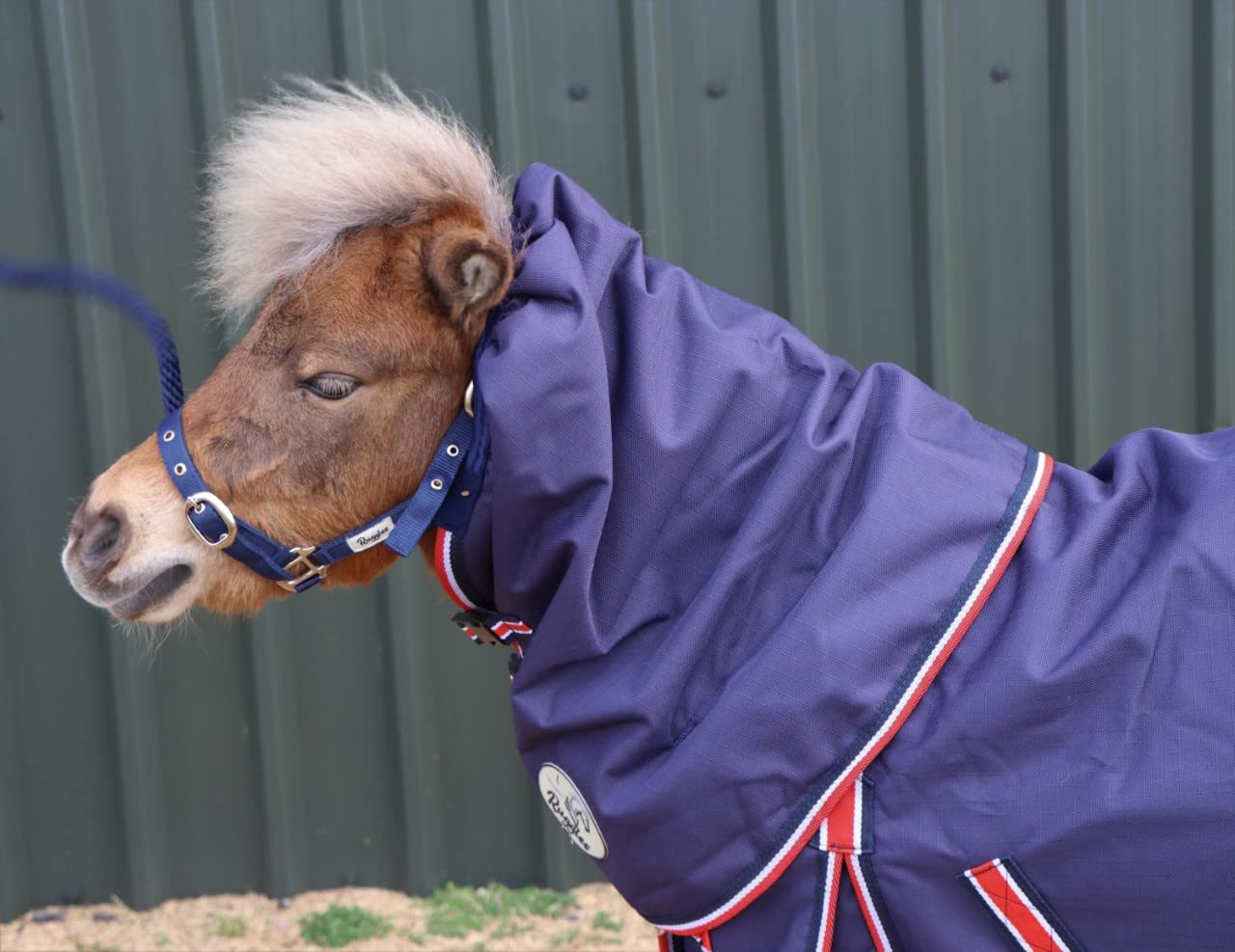 Ruggles 50g Turnout NECK COVER for Shetland Donkey Section A Miniature Horse | Durable 1200D Teflon Coated Waterproof Breathable Outer Fabric (Extra Large, Navy) — image 1