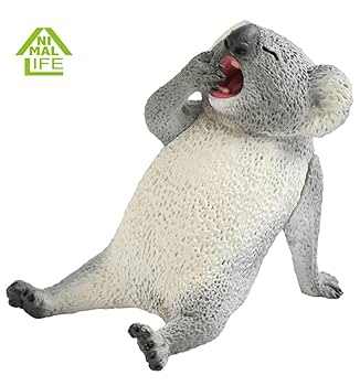 Amazon.co.jp: 朝隈俊男 すりーぴー 眠たいコアラとインコ