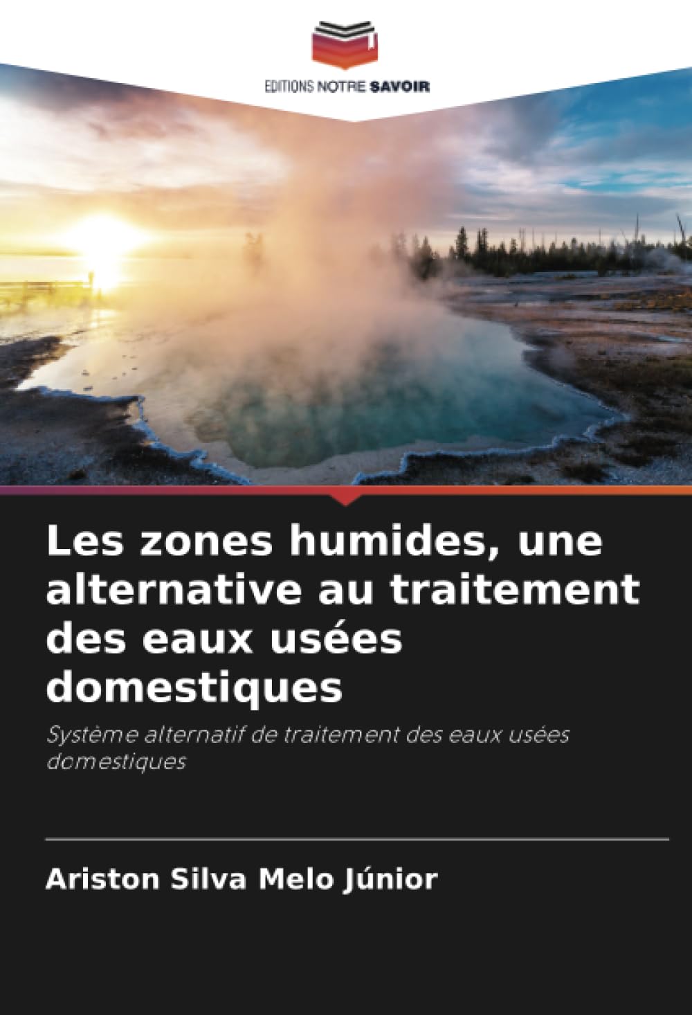 Les zones humides, une alternative au traitement des eaux usées domestiques