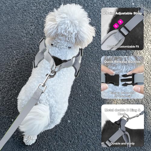 Feycig Hundegeschirr Kleine Hunde, Anti Zug Einstellbar Reflektierend Geschirr, Atmungsaktiv Weiches aus Mesh Geschirr Hund Leichtes Welpengeschirr Brustgeschirr mit Griff (Grau, X-Small)