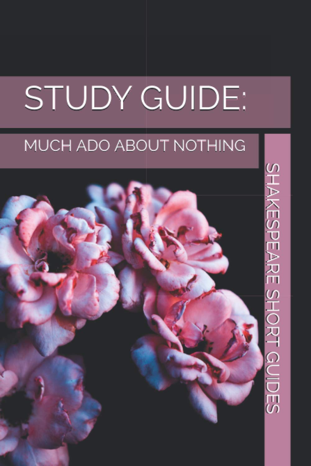 Study Guide: Much Ado About Nothing: analysis, notes and exemplar essays (Shakespeare Short Guides)
