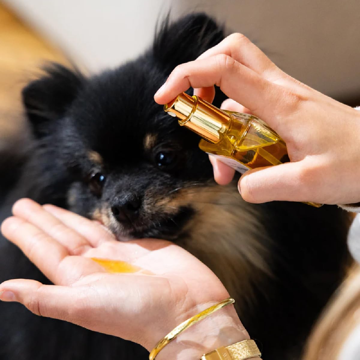 Huile De Soin Chien Argan Et Bourrache – Hydratation Peau, Poil – Nutrition Et Brillance – Texture Légère sans Effet Gras – Soin pour Chien Quotidien Pelage - Poil Sec ou Humide