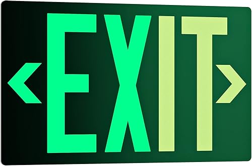 Señal de salida fotoluminiscente de aluminio, parte trasera adhesiva que brilla en la oscuridad, flechas extraíbles incluidas, 12 x 7 pulgadas, luz