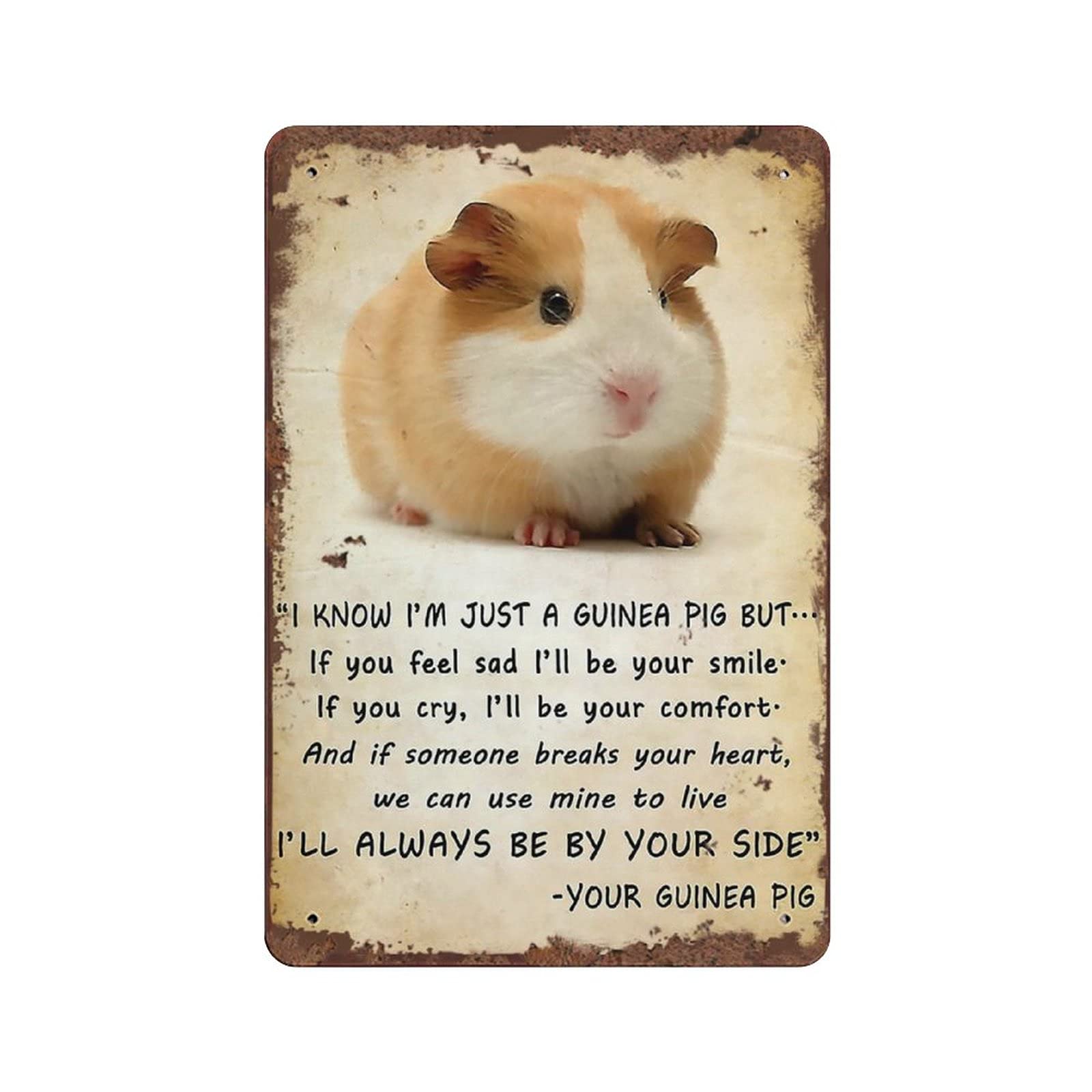 Dreacoss Women's Guinea Pig Always Be By Your Side Vintage Tin Sign Guinea Lover Gift For Men Best Friend Best Sisters Fun Tin Sign For Home Bedroom Wall Sign Birthday Anniversary Housewarming Gift 12X8 Inch