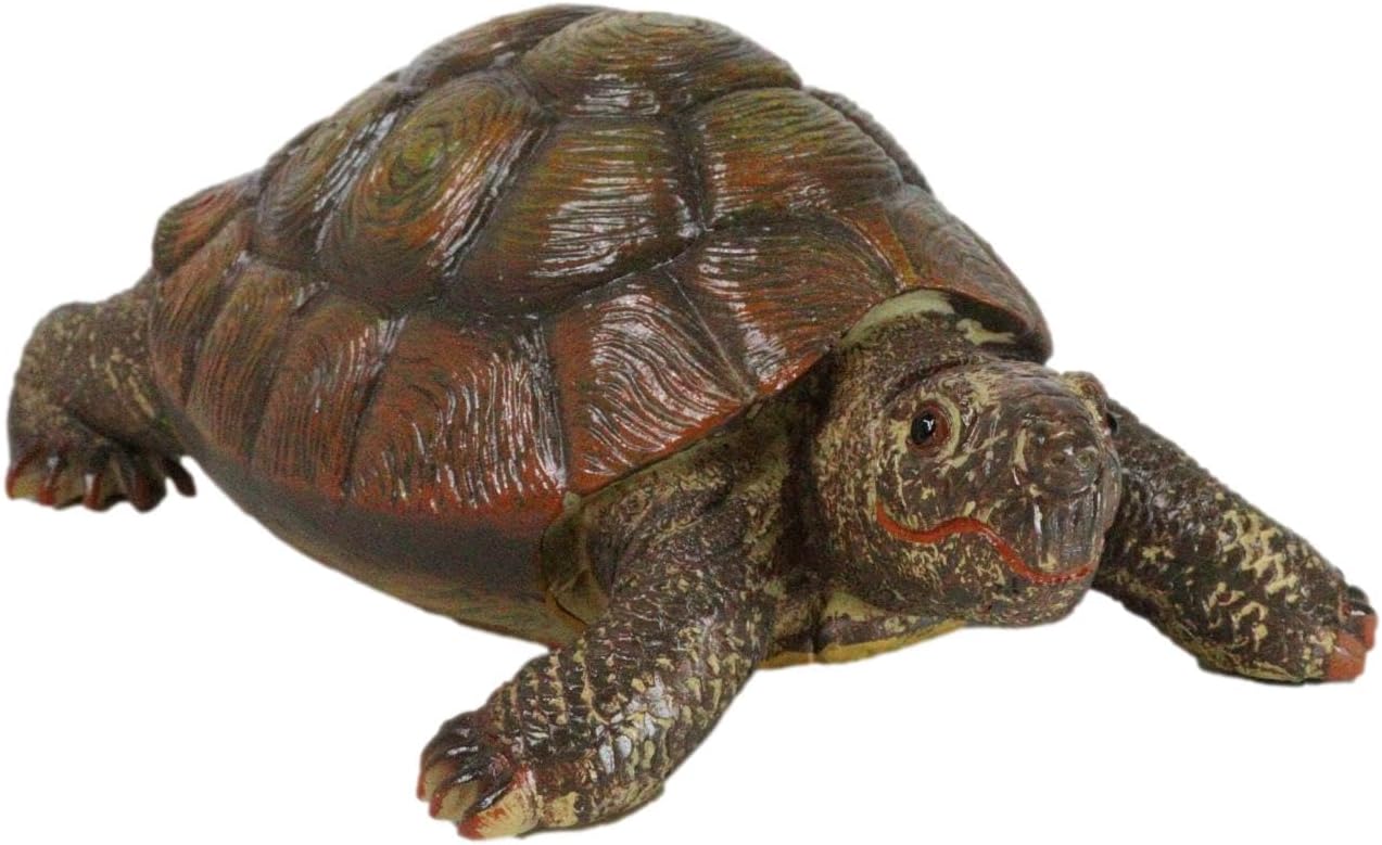 本物そっくり ガラパゴス 幅6.5インチ 風水 安定と幸運の護符 幸運カメ 本物そっくり ガラパゴス 幅6.5インチ 風水 安定と幸運の護符 幸運カメ