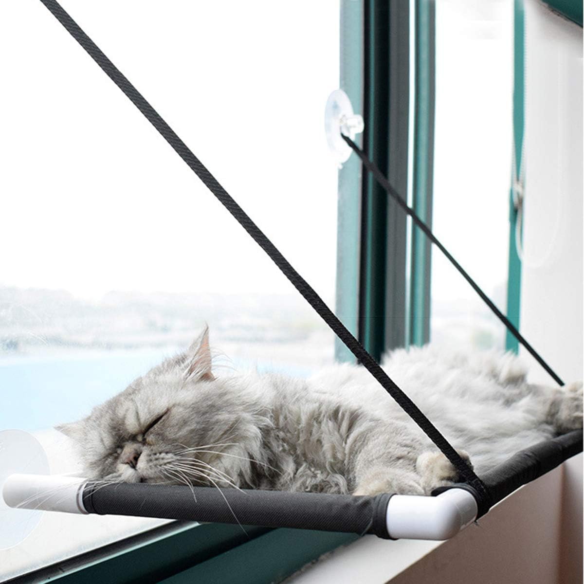 Katzen Fensterliege für Katzen,Katzenbett Fensterbank Doppelte Hängematte Fenster mit 6 stabilen Saugnäpfen, Katzenfensterbett Hängend Saugnäpfen bis 10KG