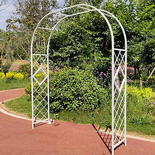 Elegante pergola ad arco in metallo per piante rampicanti, perfetta per decorazioni da giardino e cerimonie nuziali all'aperto