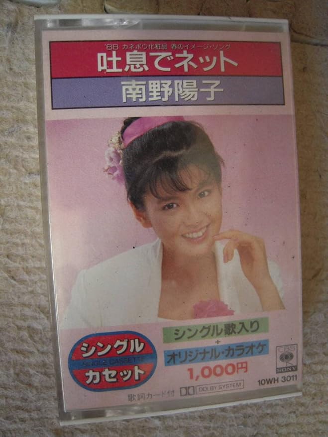 保障保障南野陽子 CDシングル カラオケバージョン ２枚セット 美品