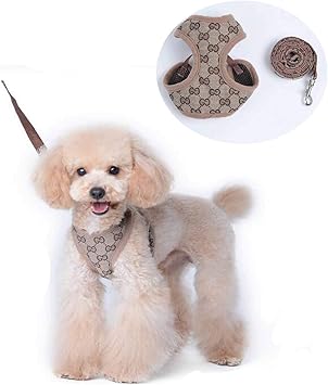 Amazon 犬ハーネスメッシュ小中型犬ナイロンペ ット胴輪 通気可調節猫用首輪かわいい 犬用ハーネスナイロン 子犬用調整可能なソフトメッシュベスト ハーネスリードセット パターン S きらめく ハーネス 通販 Amazon 犬ハーネスメッシュ小中型犬ナイロンペ ット胴輪 通気可調節猫用首輪かわいい 犬用ハーネスナイロン 子犬用調整可能なソフトメッシュベスト ハーネスリードセット パターン S きらめく ハーネス 通販