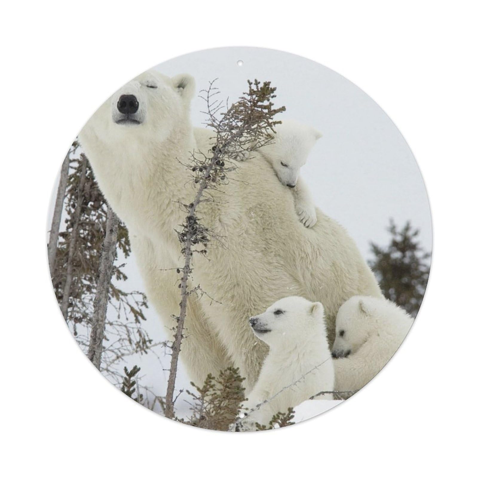 Animal Polar Bear Family Vintage Metal Tin Sign Plaque Wall Decor for Cafe, Club, Garden Round Metal Poster 8x8Inch