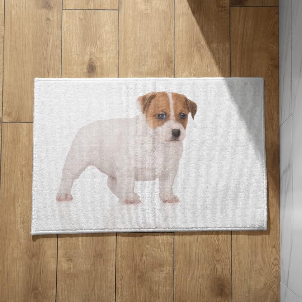 CEVAN Alfombra Suelo Cocina Antideslizante Felpudo Entrada Casa Personalizado Perro Alfombra Interior Exterior Felpudo Personalizado 45x75cm