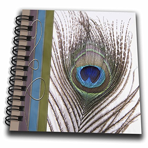 3dRose Peacock Feather with Gold Trim Look - Mini Notepad, 4 by 4-inch (db_202271_3)