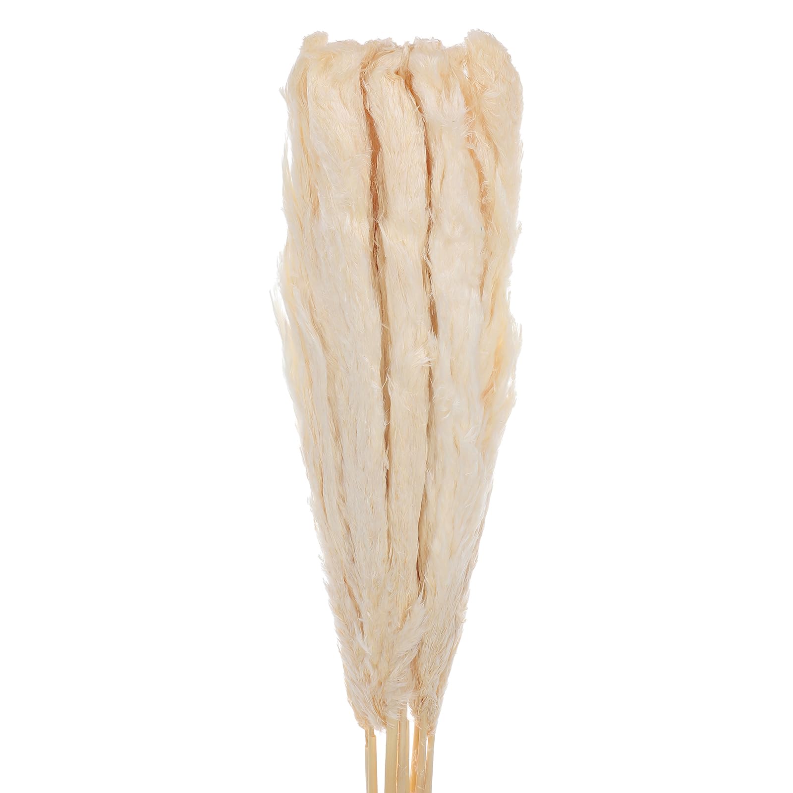 MECCANIXITY 10pcs Natural Rabbit Bunny Tails Dried Flowers 40" Mini Pampas Grass Lagurus Ovatus Bunch for Floral Wedding Decor Christmas, White