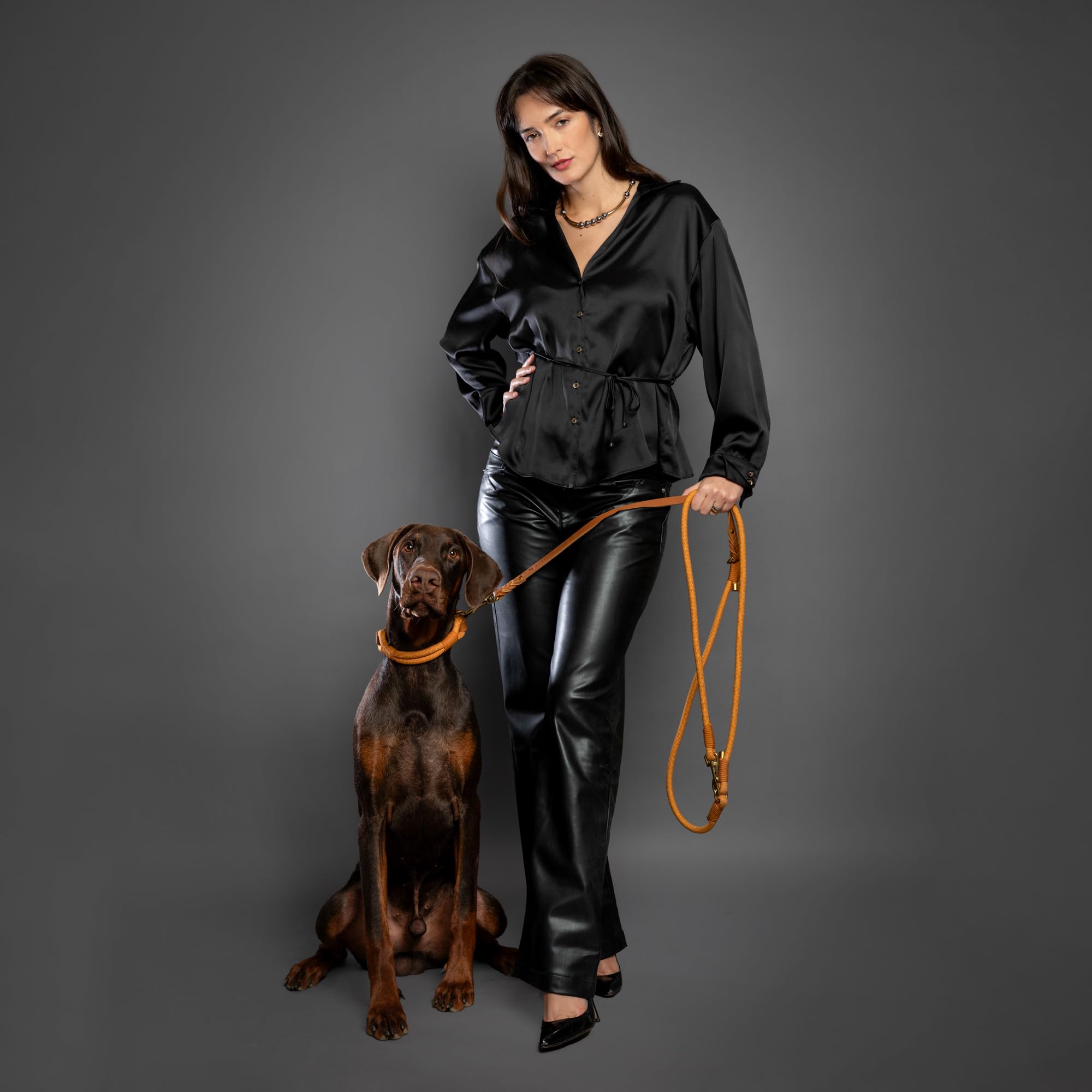 Noah & Paw Laisse Mains Libres pour Chien, Cuir huilé ciré + paracorde résistante, 8 ft (2,4 m), Laisse Longue 6 utilisations (Chats, Petits, Moyens, Grands Chiens) (Camel)