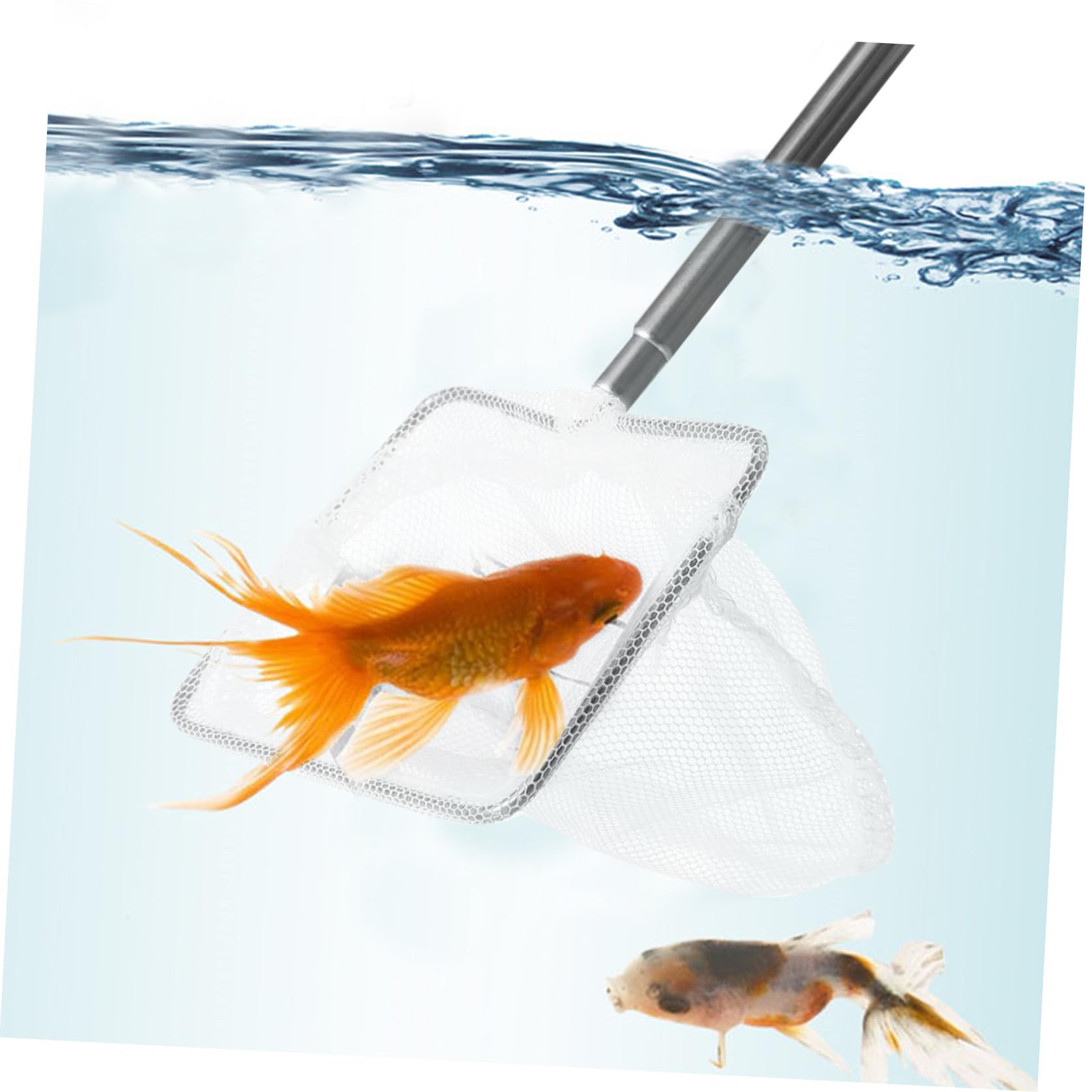 YARNOW Red de Pesca del Tanque de Peces Red de Piscina Redes para Pescar Ancla alimentador decoración Neto bajo Red de Malla para pecera Red de Pesca de camarones Nylon
