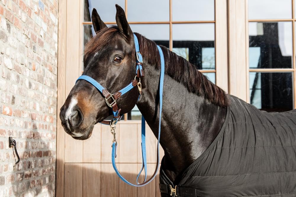 Kentucky Cabezada para Caballos Nylon Trenzada