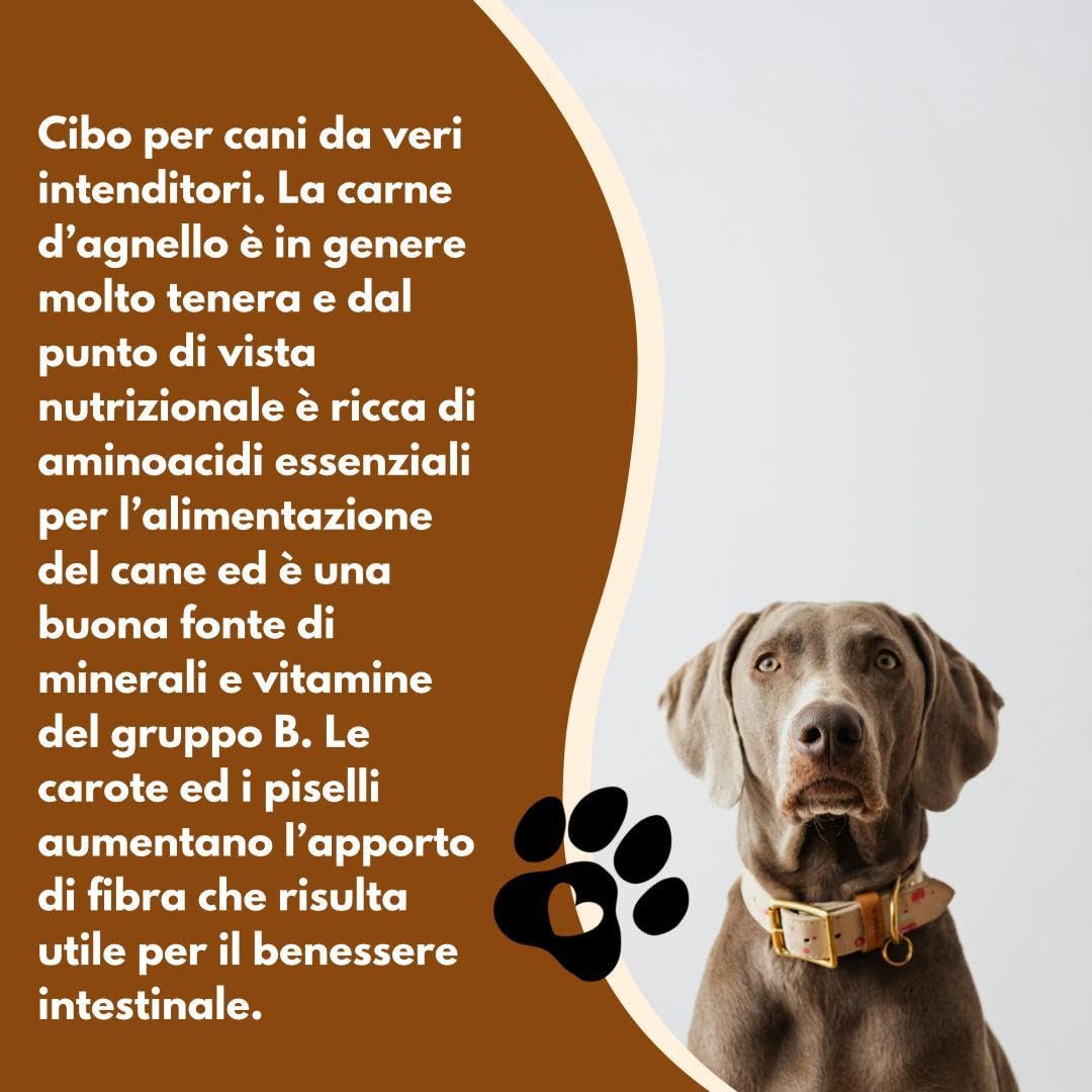 Natural Code Humido Chien Numéro 05 goût Agneau et légumes, aliment complet en emporte-pièces pour chiens adultes de toutes tailles et races en canettes | 12 boîtes de 90 grammes chacune, 12 x 90 g.