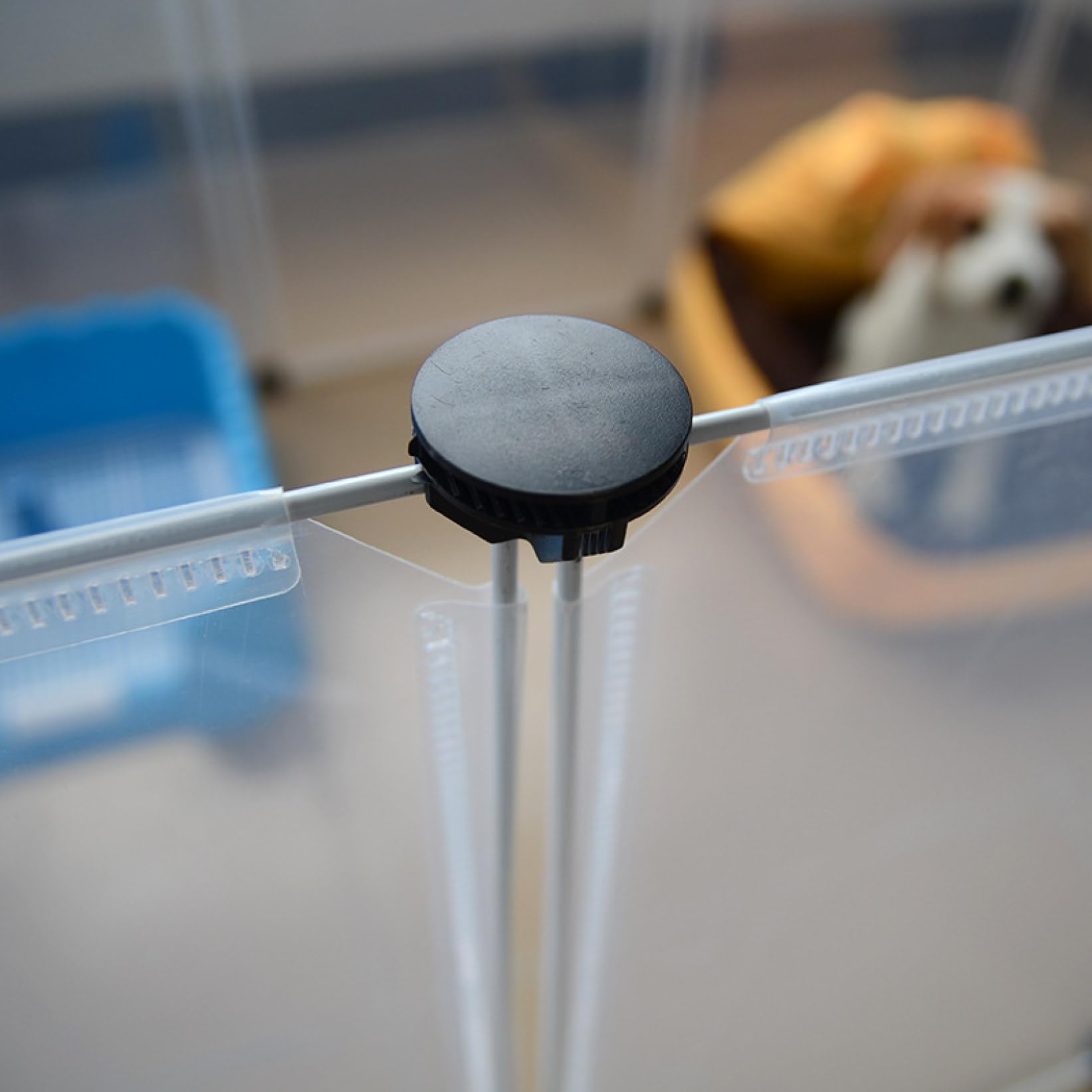 Amazon.co.jp: ペットサークル 猫・犬用 うさぎ 透明パネル 脱走防止