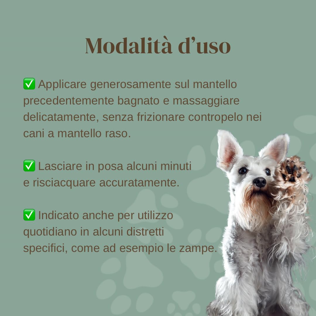 MicroBalance Vet - Shampoo per Cani con Dermatite Desquamativa - Per Cute con Sovrainfezione, Prurito e Cattivo Odore - Senza Alcol, Clorexidina, SLS/SLES e Siliconi - Per Tutte le Razze - 250ml