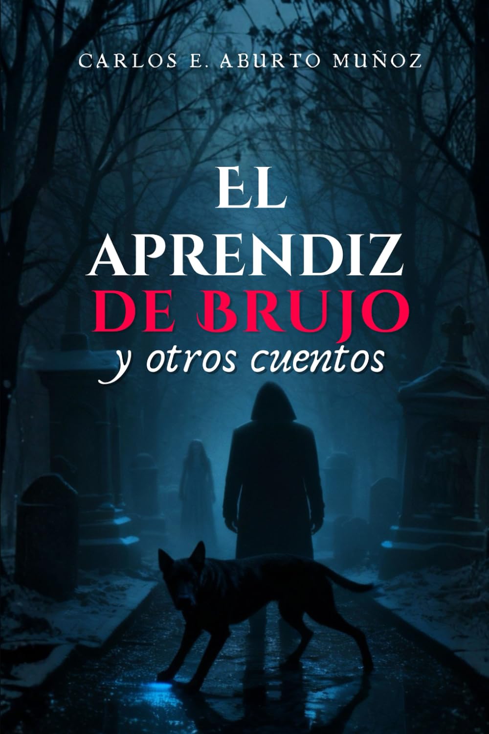 El aprendiz de brujo y otros cuentos