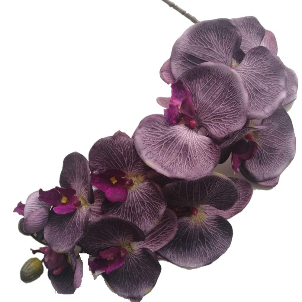 花 makocyan Amazon.com: jiumengya 6pcs Purple Color Moth Phalaenopsis10 Heads