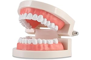 Dentist Kit For Kids Realistic 9-12 Tiktok