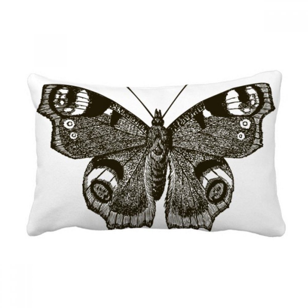 Coussin lombaire papillon pour soulager le dos sur un canape de salon