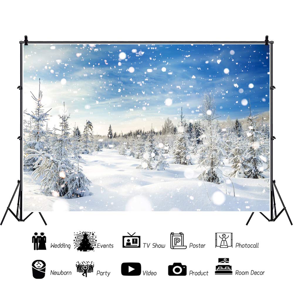 Amazon | Qinunipoto 背景布 冬の風景 松の木 雪 雪の上 青空 積雪 冬