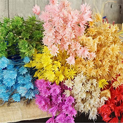 35 cabezas de flores secas naturales para decoración miniatura 2