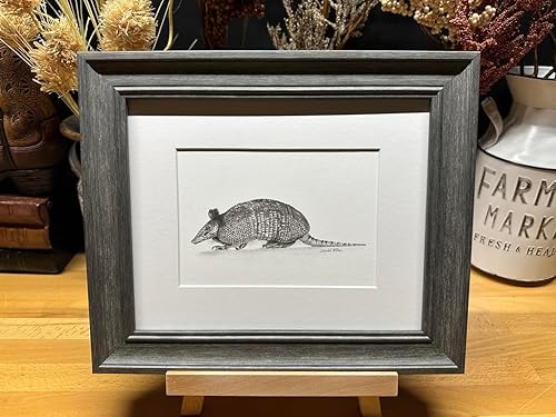 Miniatura 8 de Armadillo Nature Wildlife Graphite Pencil Art Sketch Drawing Print Picture Limited Edition  Titled 'Little Armored One' by David Allen (8x10 Mat &