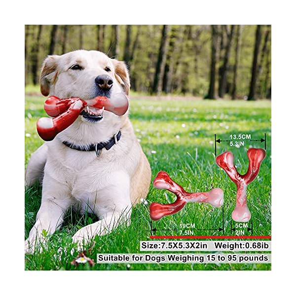 Dog Chew Toys for Aggressive Chewers , Food Grade Durable Dog Chew Nylon Toy, Big Indestructible Dog Toy, Medium Puppy Teething Wishbone Toys Dog Chew Toys for Aggressive Chewers , Food Grade Durable Dog Chew Nylon Toy, Big Indestructible Dog Toy, Medium Puppy Teething Wishbone Toys