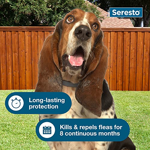 Seresto Large Dog For Dogs Over 18 Lbs. & Seresto For Cats Vet-Recommended Flea & Tick Treatment & Prevention Collars | 8 Months Protection Each #TOP5