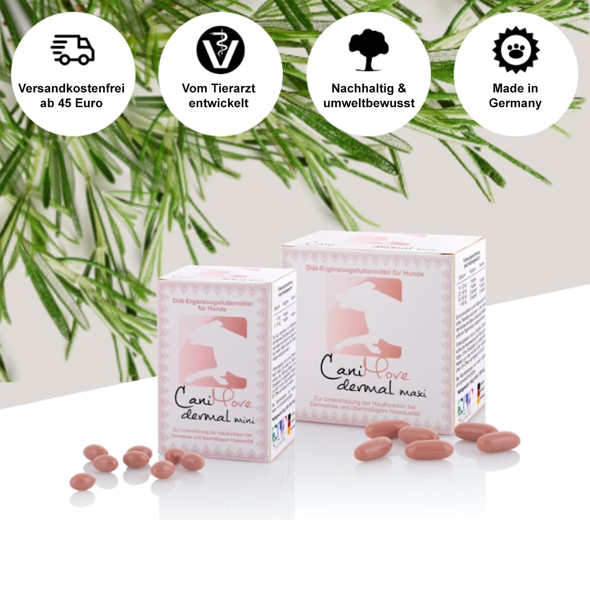 Dreier-Set CaniMove Dermal mini (300 Kapseln), Ergänzungsfuttermittel zur Unterstützung von Hautfunktion, bei Haarausfall, Schuppen und stumpfen Fell