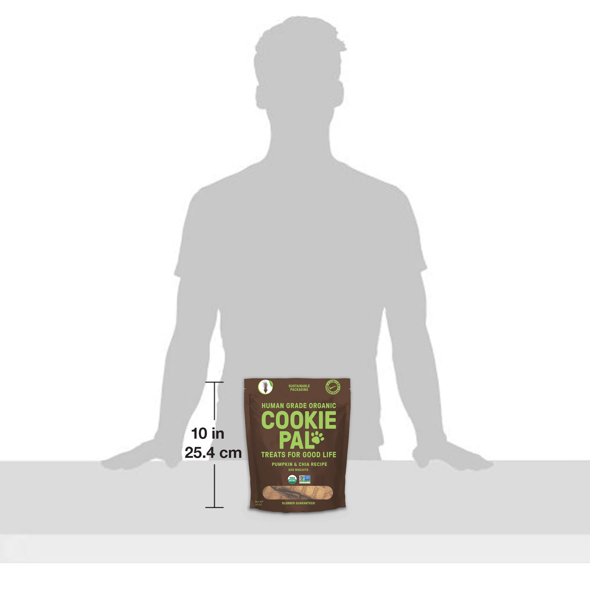 CookiePal Human Grade Dog Treats, Pumpkin and Chia Seed Recipe, Organic Non-GMO and Simple Ingredients, 10 Oz Bag